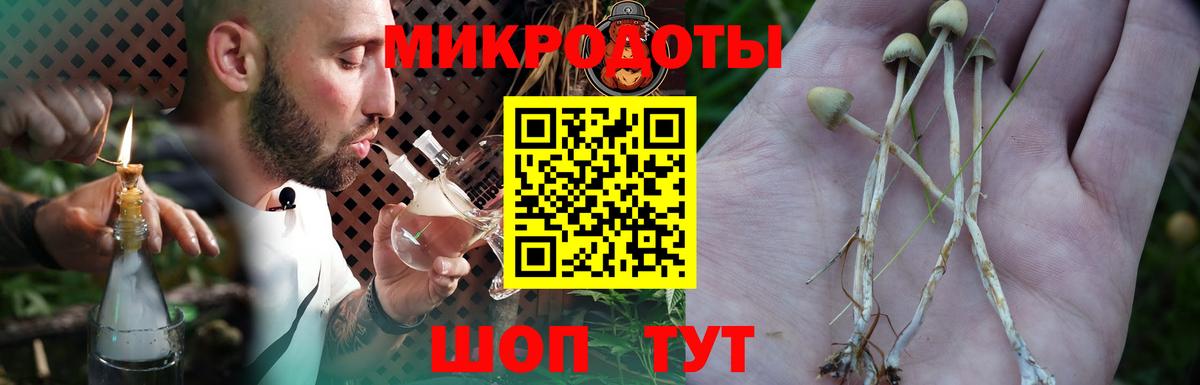 Тында  Галлюциногенные грибы мухоморы  Вход с VPN  Галлюциногенные грибы мухоморы 
